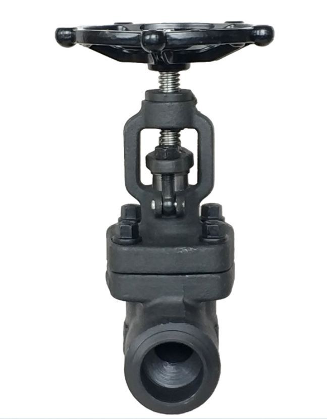 Globe Valve