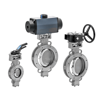 Bray Double Offset Butterfly Valve